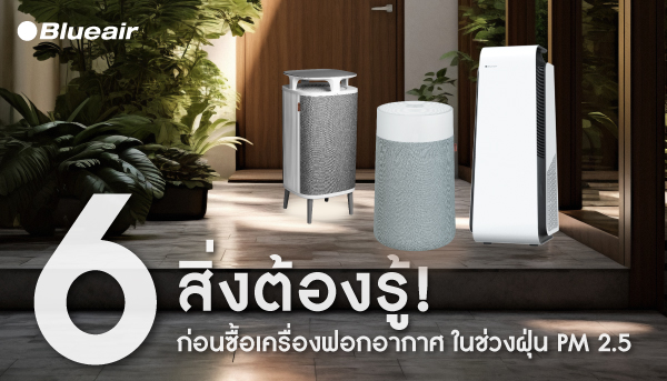 เครื่องฟอกอากาศ ช่วยกรองฝุ่น PM2.5