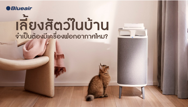 เครื่องฟอกอากาศ บ้านมีสัตว์เลี้ยง