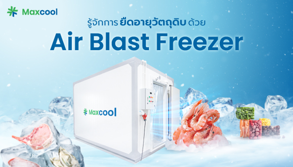 Air Blast Freezer ห้องบลาสฟรีส คือ