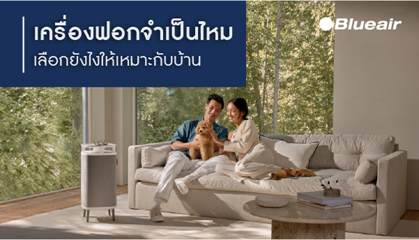 เครื่องฟอกอากาศจำเป็นหรือไม่