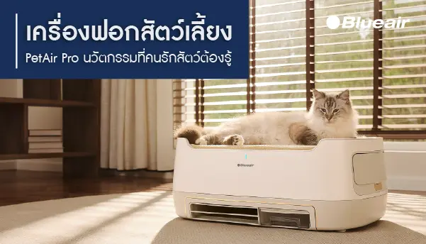 เครื่องฟอกอากาศ Pet Friendly