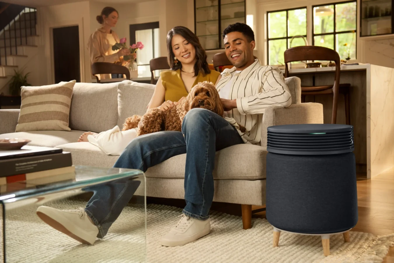 เครื่องฟอกอากาศ ไฟฟ้าสถิต