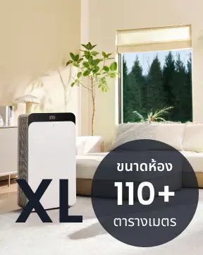 ขนาด XL มากกว่า 110 ตร.ม.